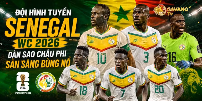 Đội hình tuyển Senegal WC 2026: Dàn sao châu Phi sẵn sàng bùng nổ